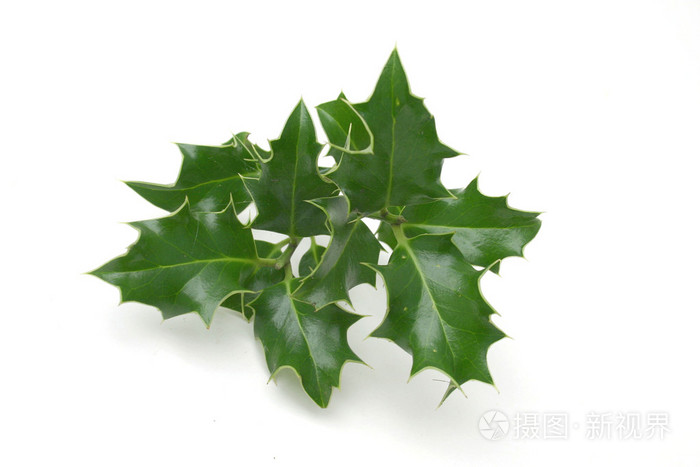 av天天操天天干,国外破除大片特写展示肤白,国产亚洲综合欧美一区二区不卡