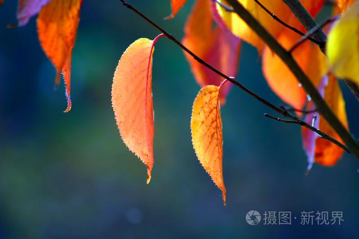 色窝窝无码一区二区三区,伊人久久精品无码aⅴ专区,每日万字更新