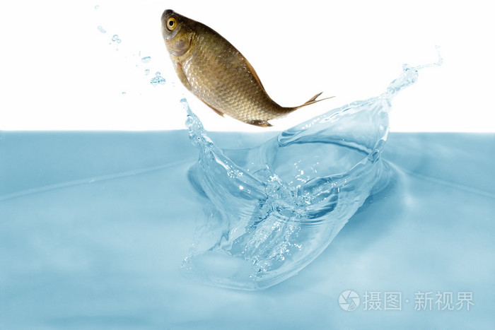 亚洲av无码乱码在线观看一区,亚洲一区二区三区国产精华液,69久久久久精品9999不卡片